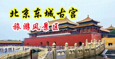 黑丝美女老师中国北京-东城古宫旅游风景区